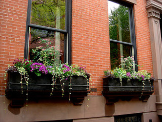 energy efficient replacement windows